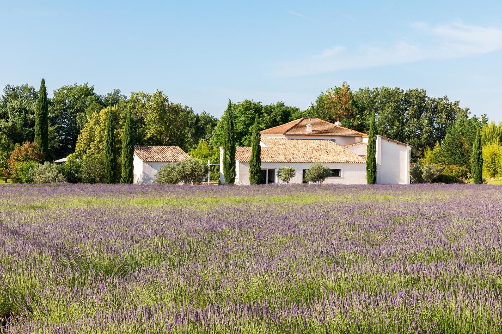 Отель Bastide De Damien Экс-ан-Прованс Экстерьер фото